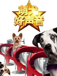 萌犬好声音